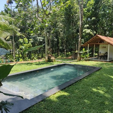 Pool Villa - The Humming Trees, Pala Lālam Exterior photo