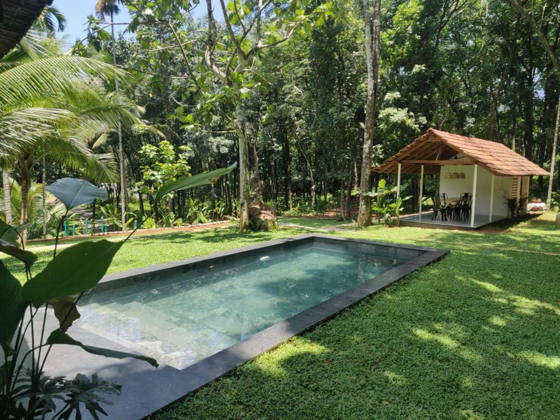 Pool Villa - The Humming Trees, Pala Lālam Exterior photo